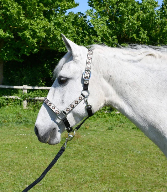 Rhinegold Black/Cream Aztec Headcollar & Rope Set