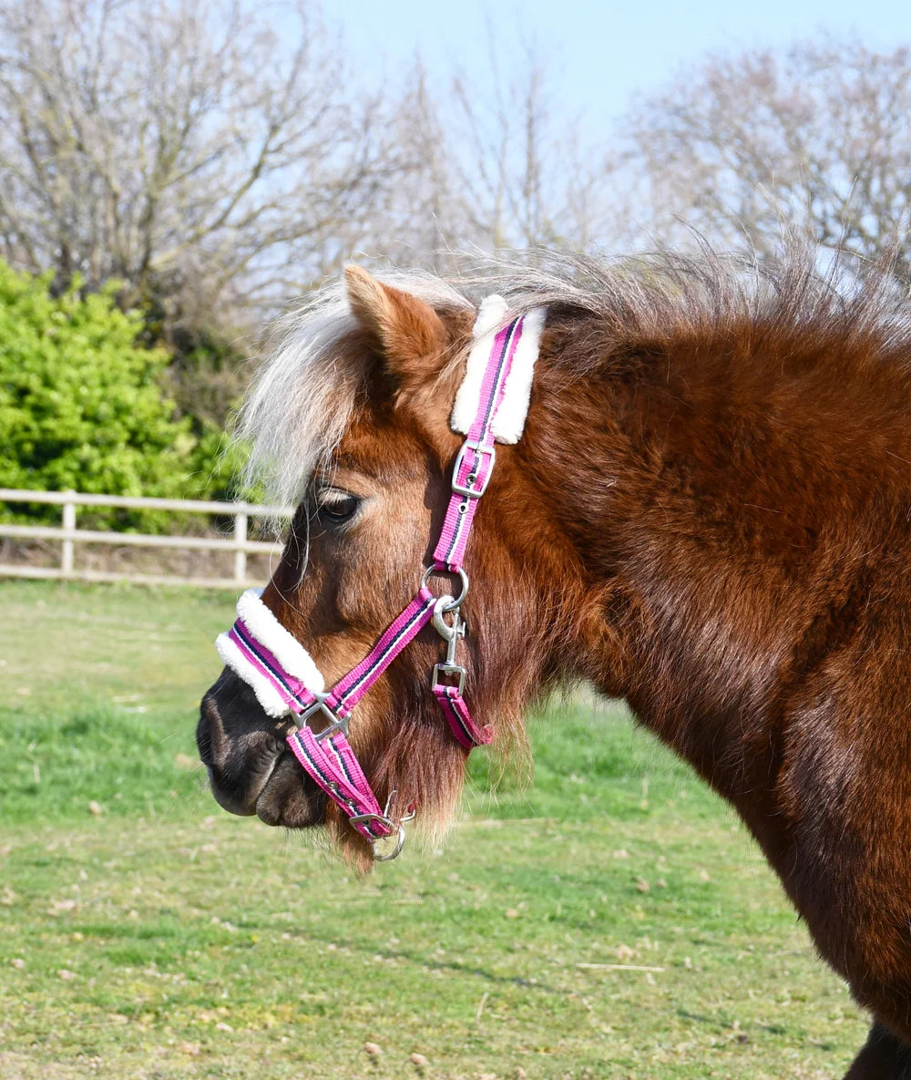 Rhinegold Raspberry Bright Striped Fur Trim Headcollar